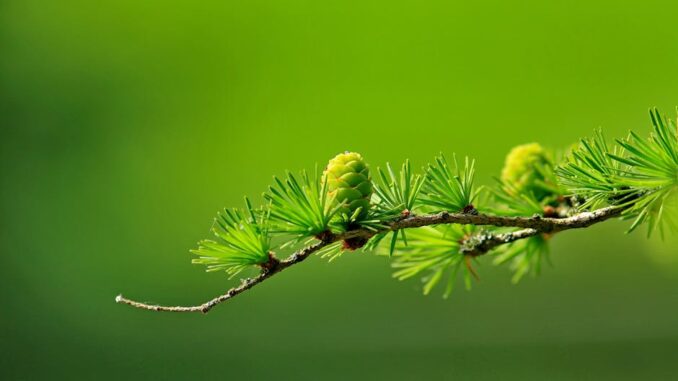 CImages50a7d45e-0bac-46e9-988a-06563e73727d