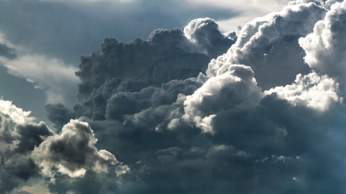 CImagesa60ba330-a1ed-452c-804f-87c15dcfebdd